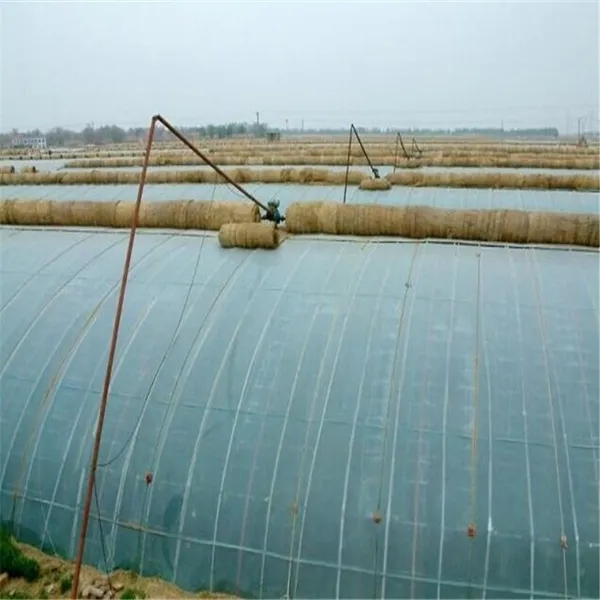 無土栽培，無土栽培技術(shù)，無土栽培設(shè)備